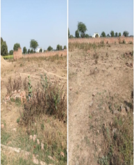 VIJAY TRADING COMPANY-180920252